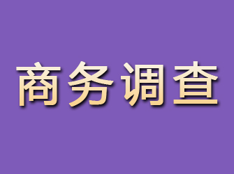 延安商务调查